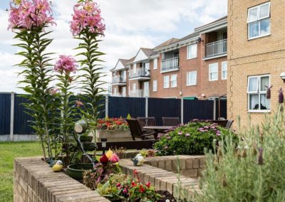 Silverpoint Court Residential Care Home back garden wall and flowerbeds