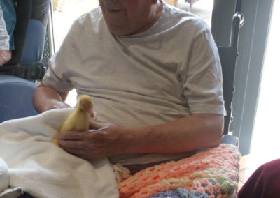 Male resident cuddling a duckling