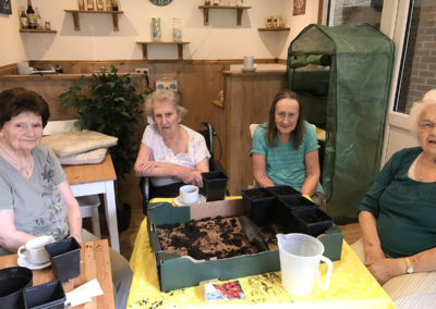 Two Lulworth House resident potting seeds