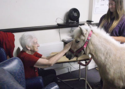 Pet Therapy Day with Pinky the pony at St Winifreds Care Home