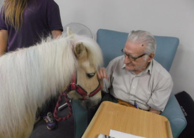 Pet Therapy Day with Pinky the pony at St Winifreds Care Home