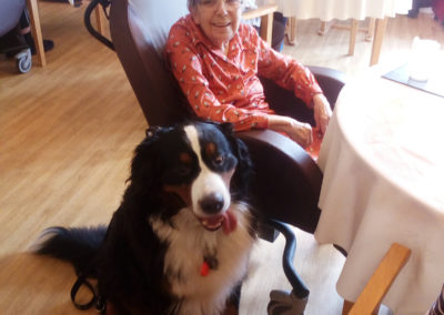 Female resident at Hengist Field Care Home sitting with a Bernese Mountain Dog in the dining room