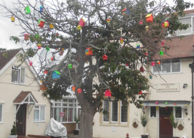 The tree in the courtyard at Woodstock Residential Care Home covered in colourful bird boxes