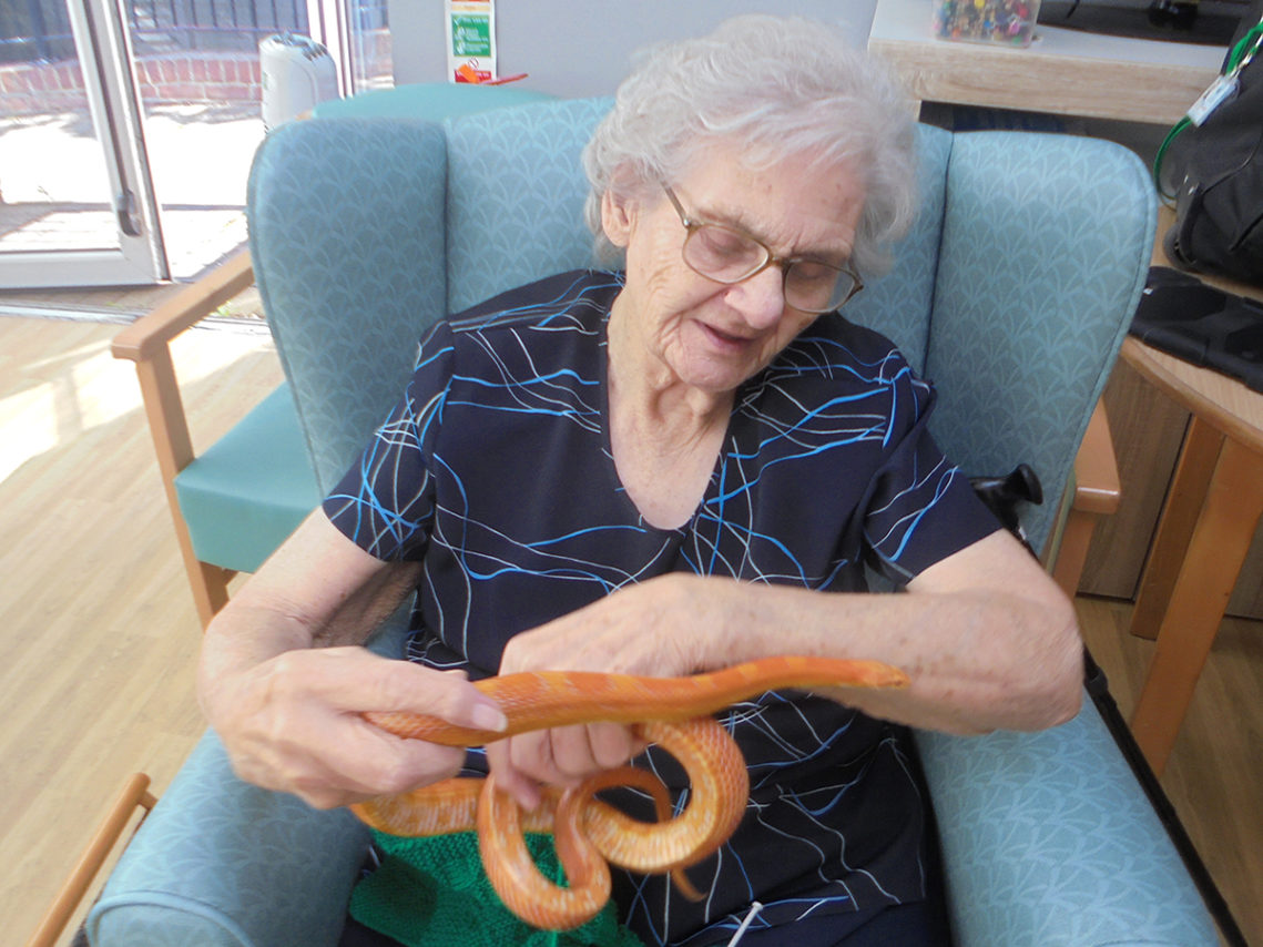 One of the ladies at The Old Downs Residential Care Home petting a snake from Zoolab