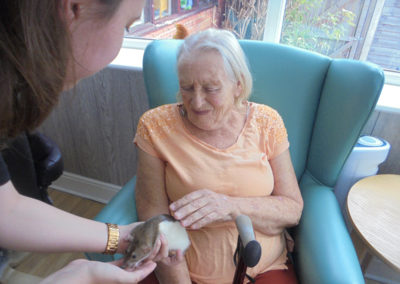 One of the ladies at The Old Downs Residential Care Home stroking a rat from Zoolab