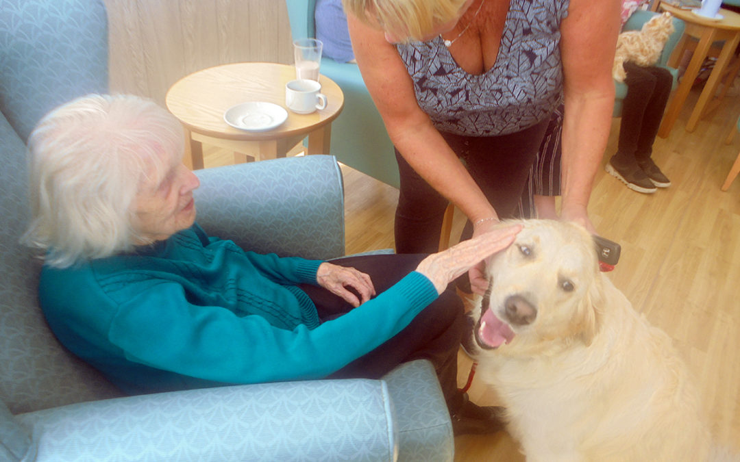 The Old Downs Residential Care Home receives a furry visitor