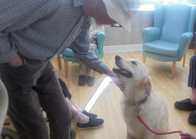 Golden retriever Molly enjoying a stroke from a resident at The Old Downs Residential Care Home