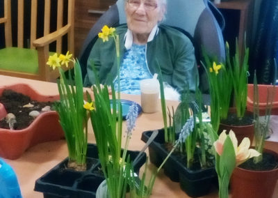 Female resident sitting at a table with some miniature daffodils, getting ready to plant them