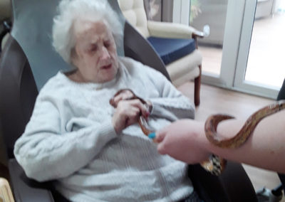 Resident touching a Zoolab snake at Meyer House Care Home