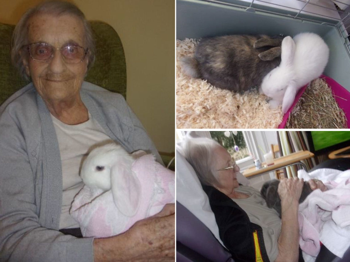 Residents sitting and cuddling baby rabbits at Loose Valley Care Home