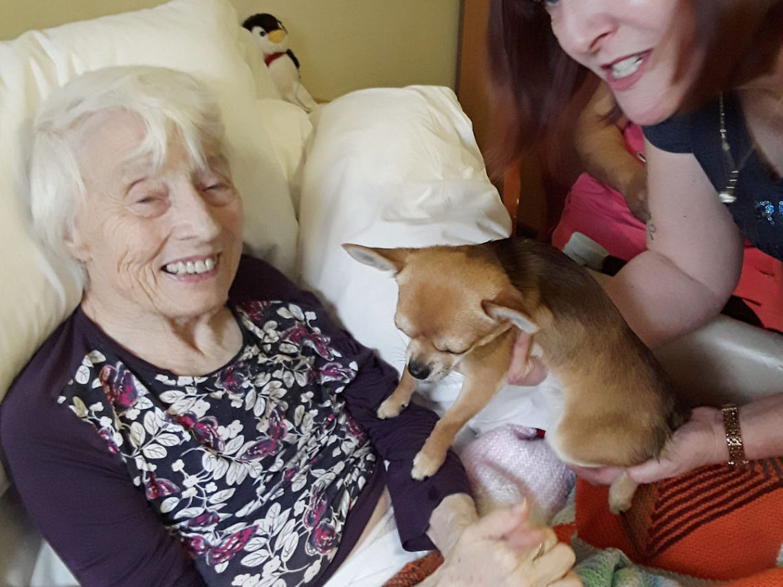 Lady resident in bed smiling and petting Heston the chihuahua