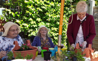 Residents at The Old Downs enjoying planting in the garden