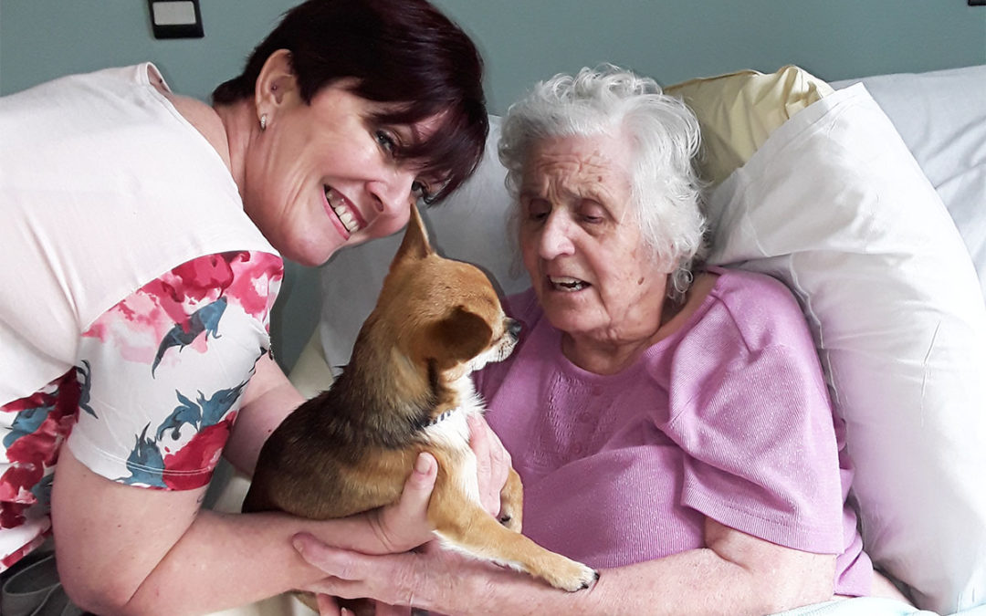 Gardening, pet therapy and Indian wishes at Hengist Field Care Home