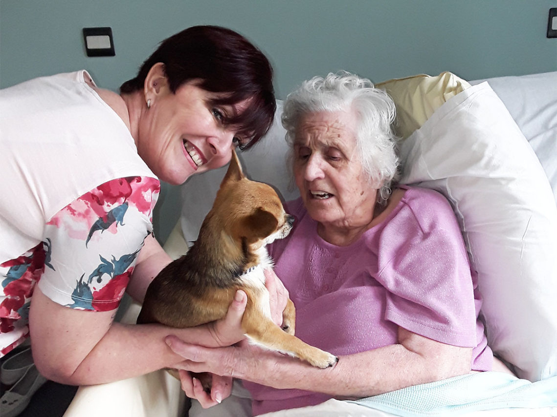 Pet Therapy at Hengist Field Care Home