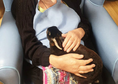 Lady resident stroking a rabbit on her lap