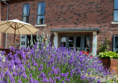 The Courtyard Garden at Hengist Field Care Home