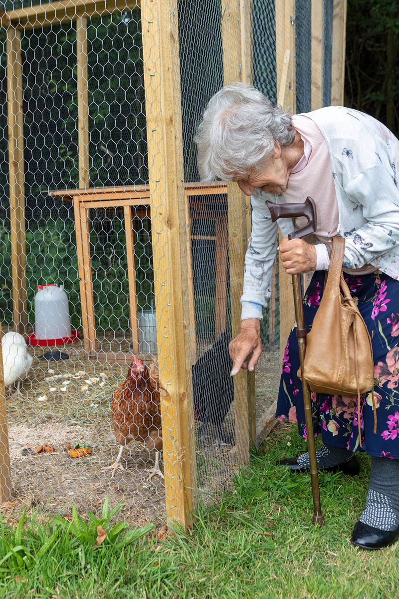 Residents enjoying feeding our chickens