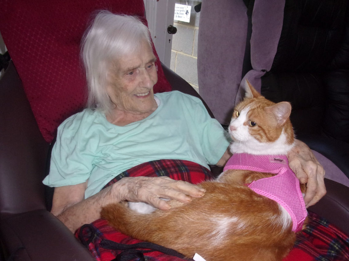 Loose Valley resident with Oliver the cat on her lap