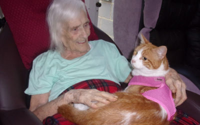 Loose Valley resident with Oliver the cat on her lap