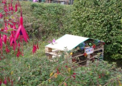 Loose Valley Care Home's Bug Hotel in their garden