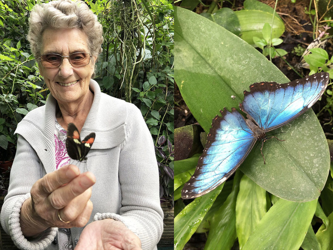 Sonya Lodge residents visit Hall Place Butterfly Jungle Experience