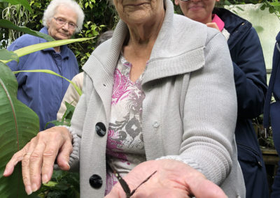 Sonya Lodge residents visit Hall Place Butterfly Jungle Experience 9