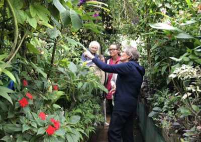 Sonya Lodge residents visit Hall Place Butterfly Jungle Experience 7