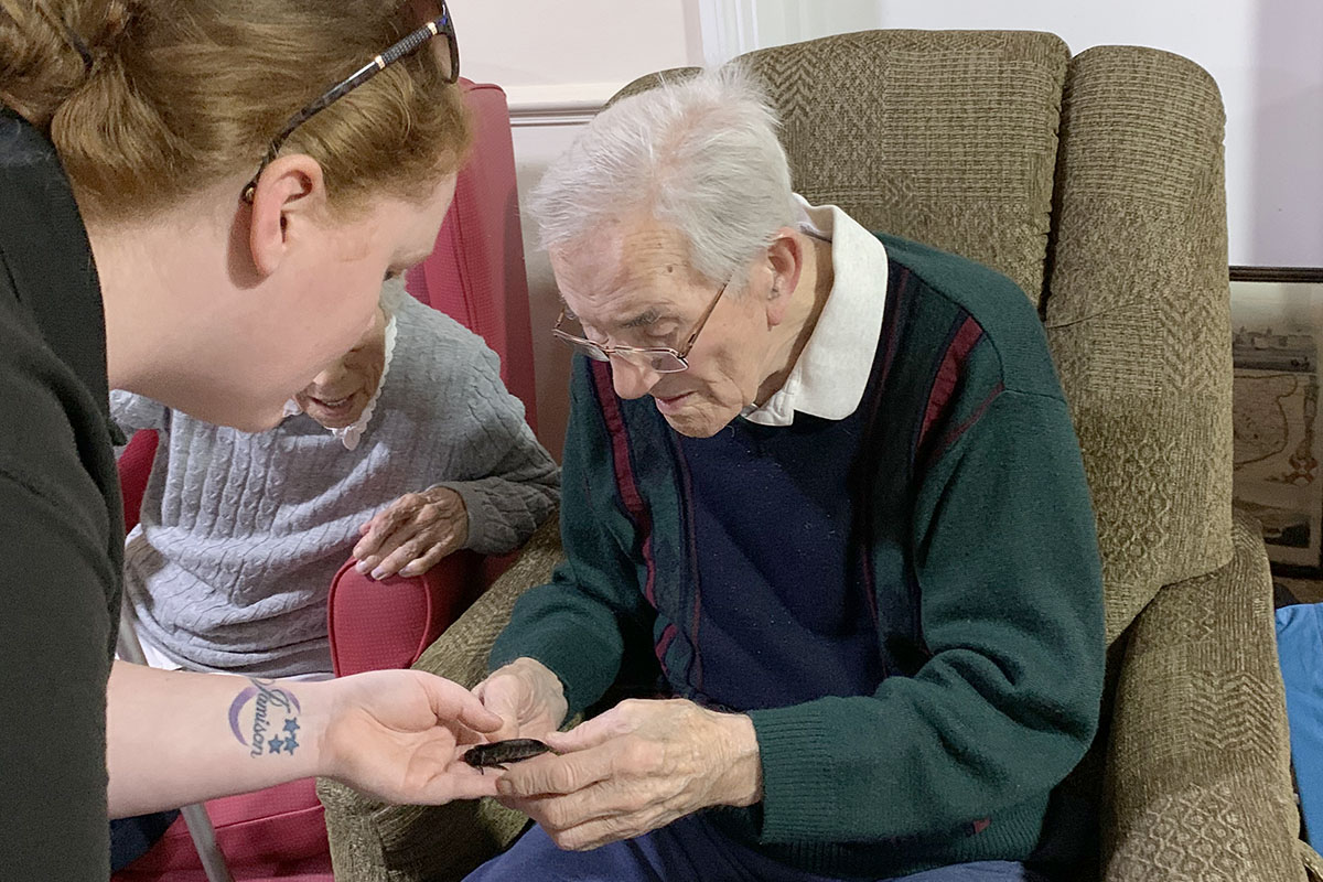Lulworth House Residential Care Home residents enjoy mini zoo
