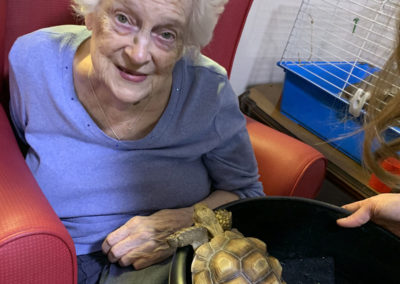 Lulworth House resident with a tortoise