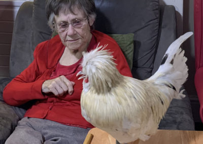 Lulworth House resident with a chicken