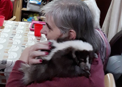Lulworth House resident with a skunk