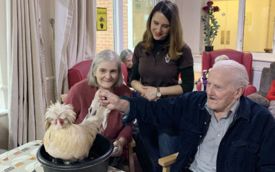 Amazing Animal Encounters at Lulworth House Residential Care Home