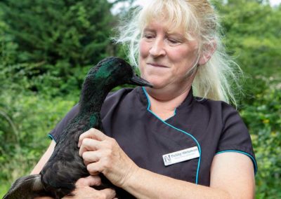 Loose Valley Care Home have a variety of friendly pets