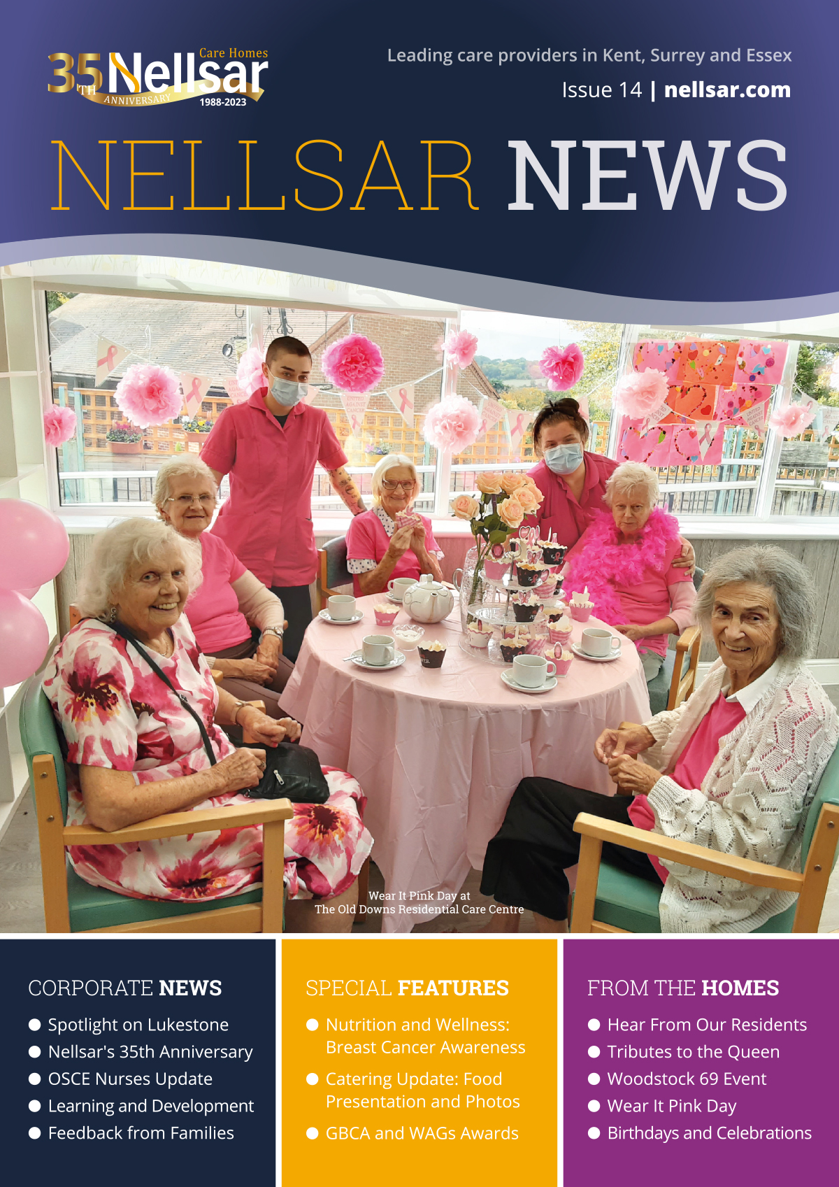 Nellsar Newsletter Issue 14 December 2020